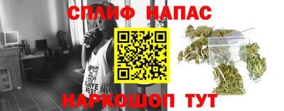 сатива Дубна