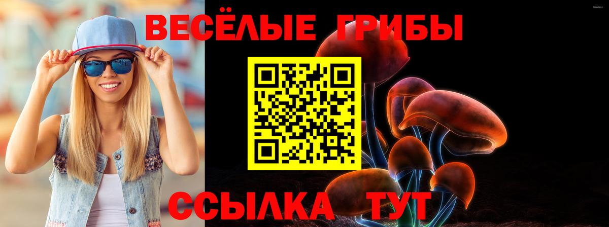 Назрань  Галлюциногенные грибы Magic Shrooms  закладки  Вход с VPN 